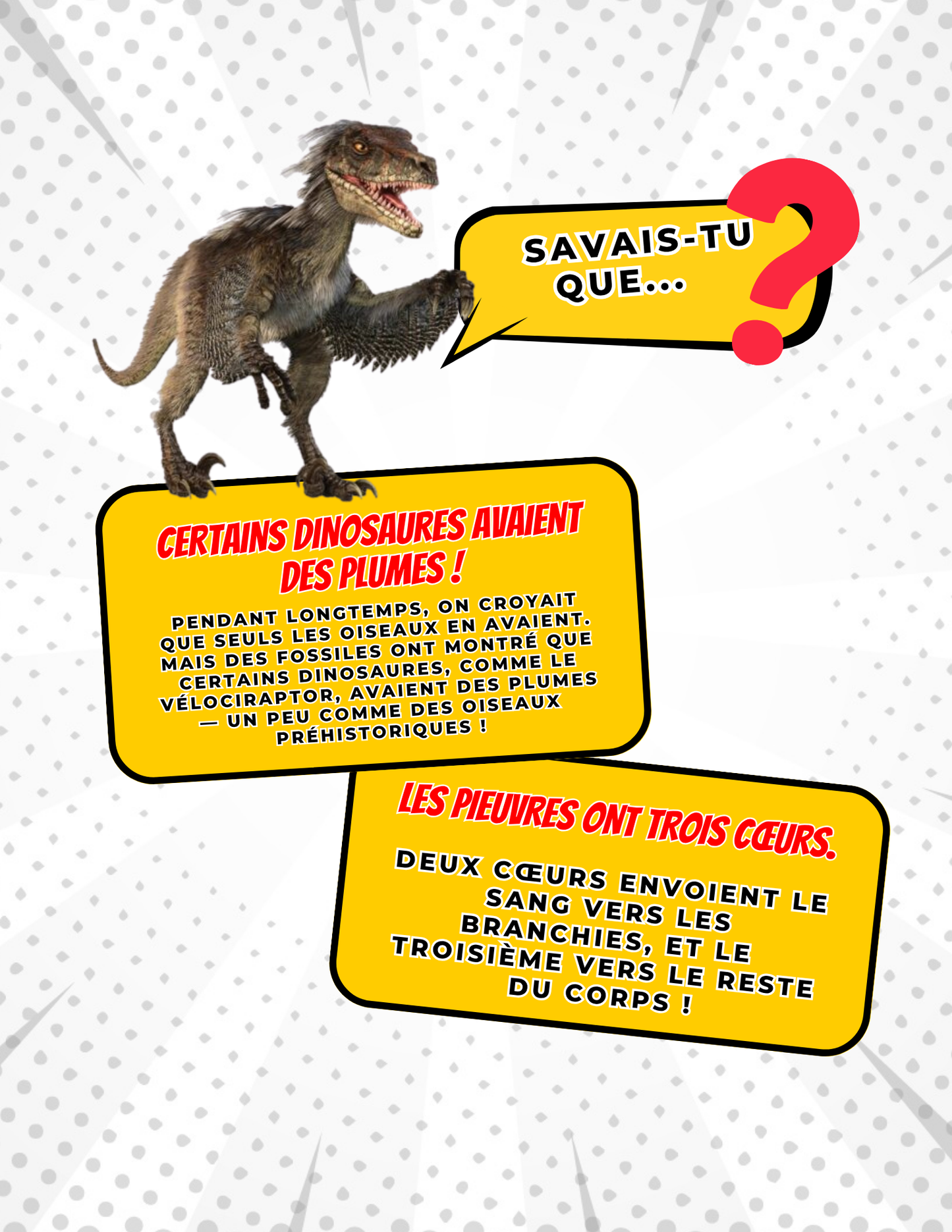 Toutes nos ressources à rabais | 560 pages | Pour les enfants entre 8 à 12 ans