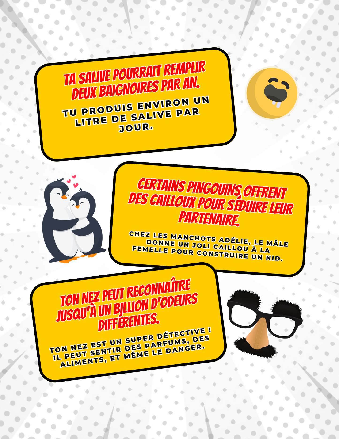 Activités d'été