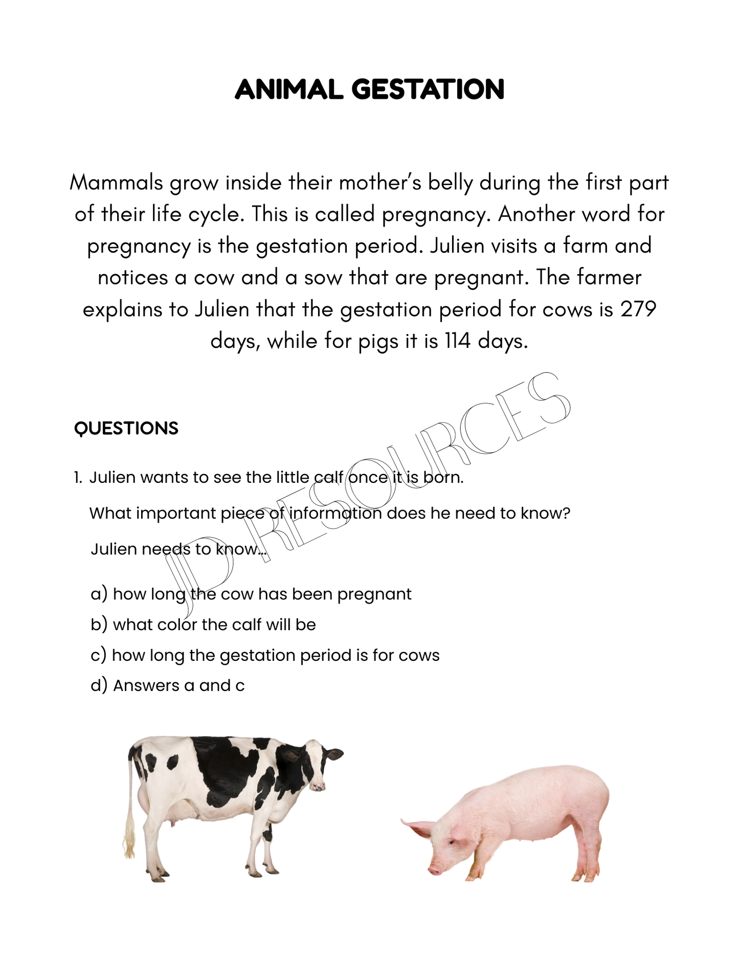 Science Pack - 20 pages
