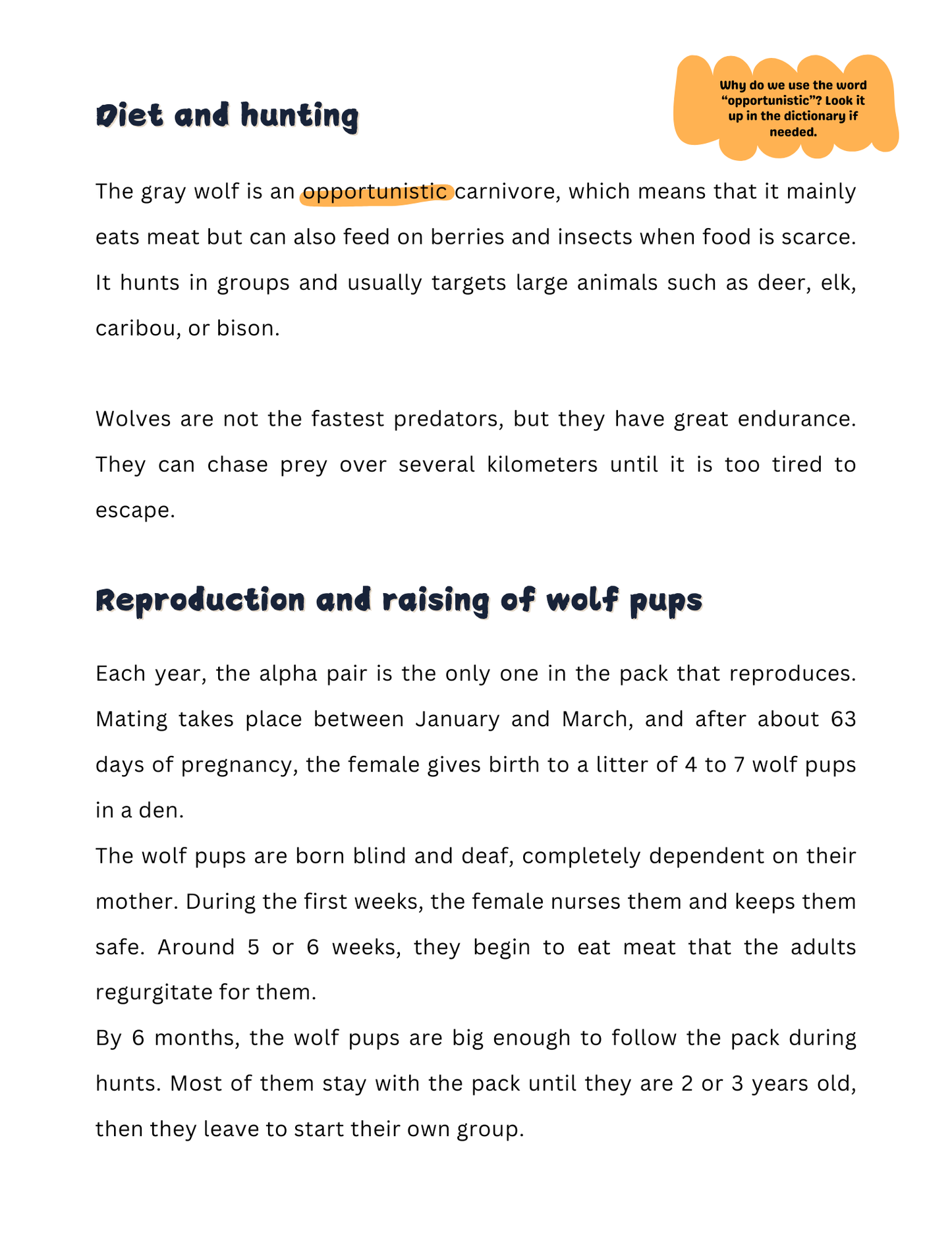 3 Reading Comprehension Passages with Questions - 23 pages