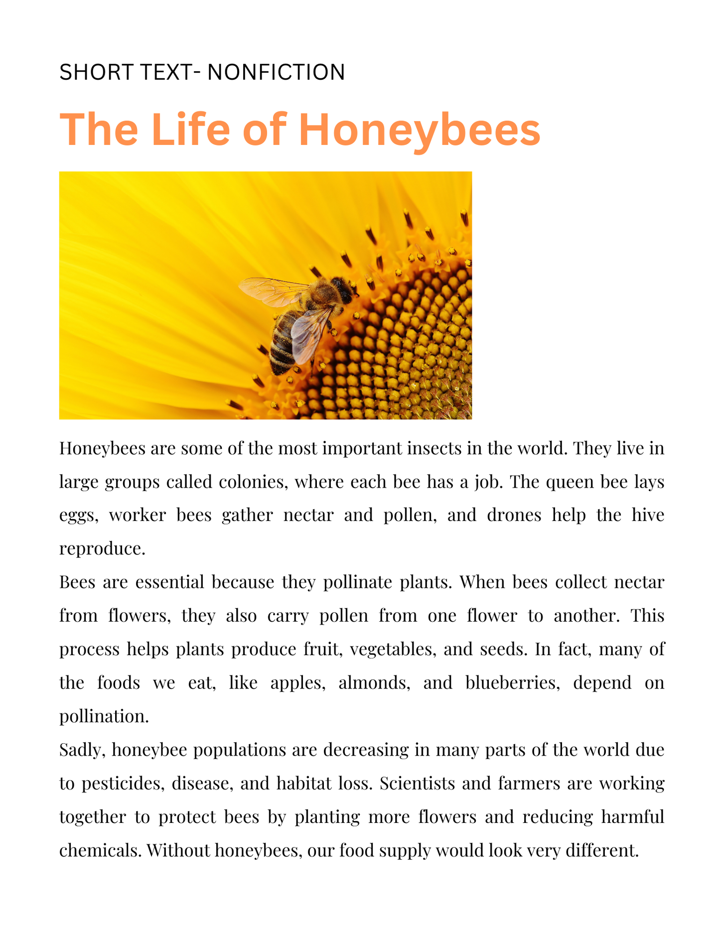 Reading & Writing - 35 pages