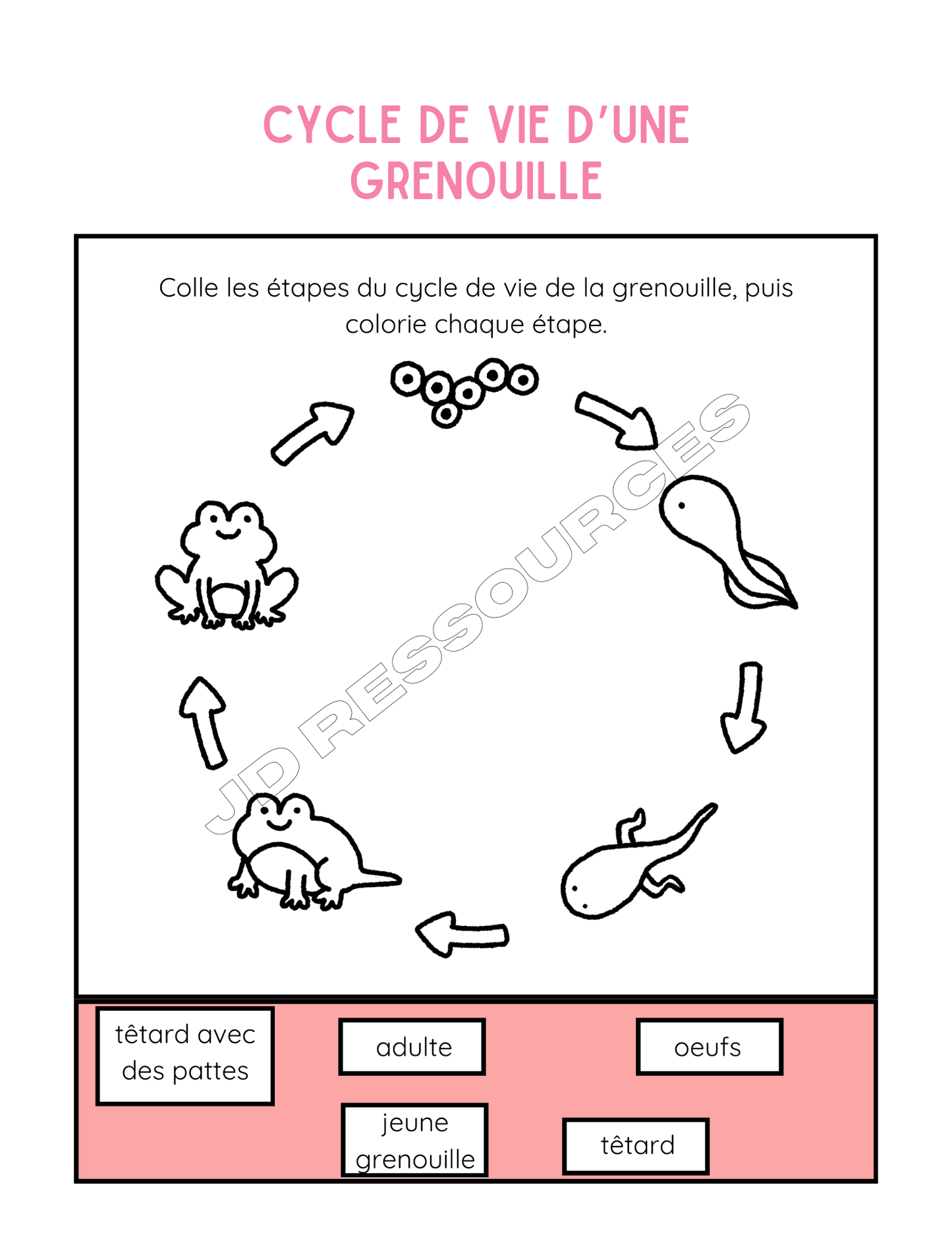 Le cycle de vie et le corps