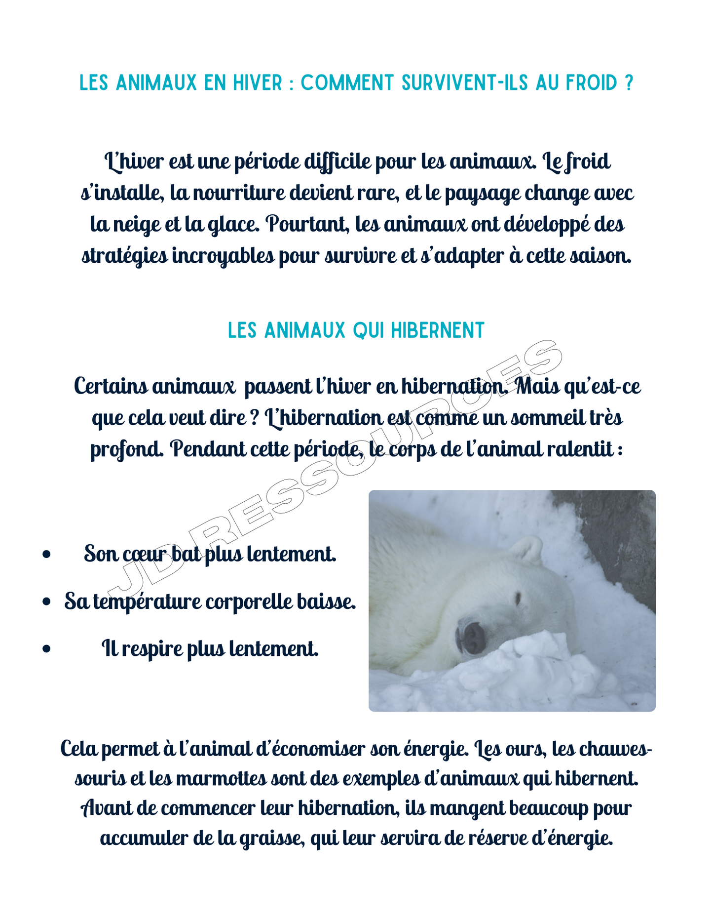 L'hiver et les animaux