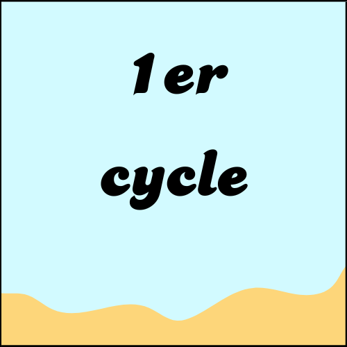 1er cycle
