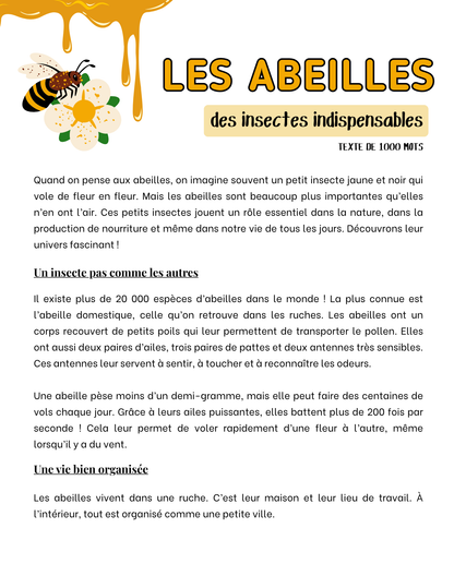 Examen du ministère 4e année du primaire- Trousse complète