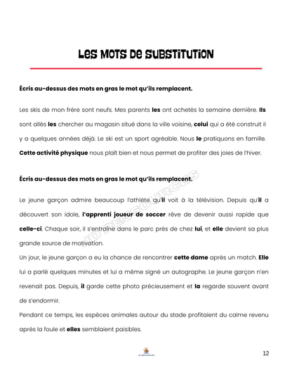 6e année | Simulation en lecture et en écriture | Pratique ministérielle