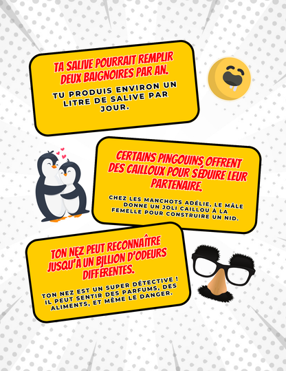 Activités d'été