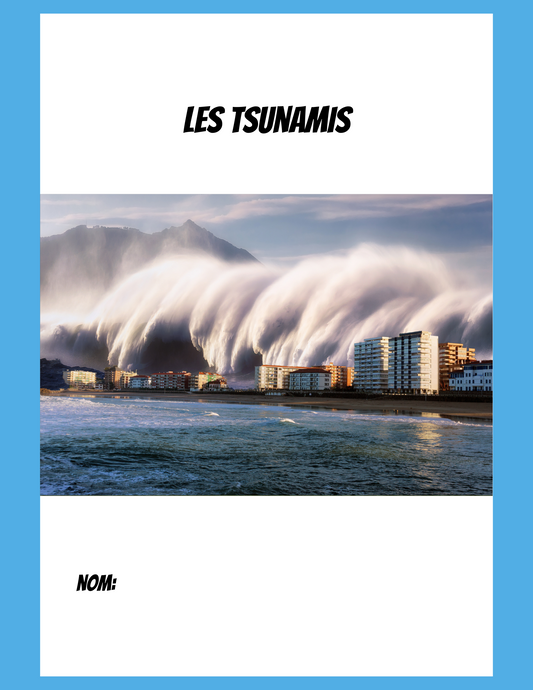 Les tsunamis