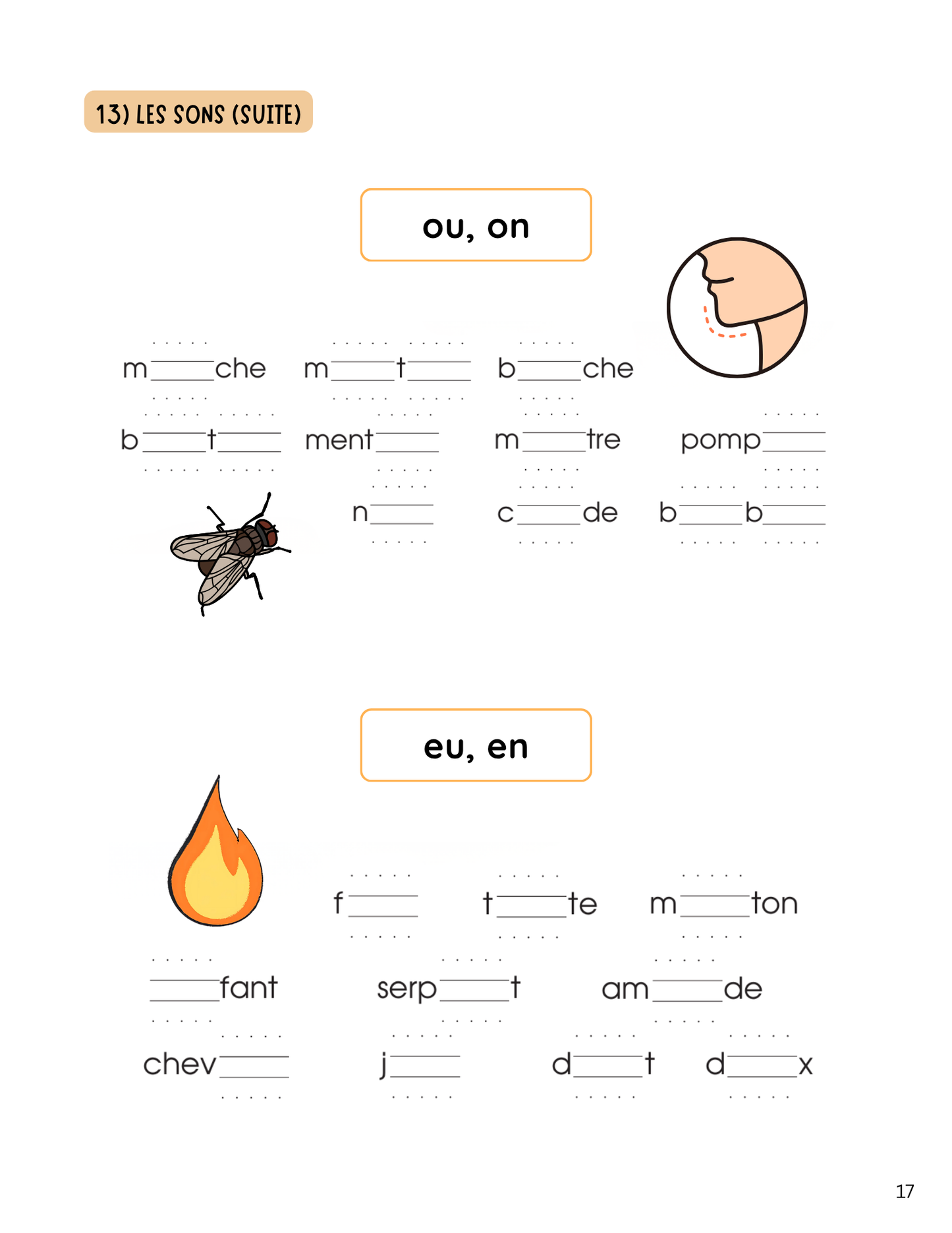 1er cycle- La grammaire
