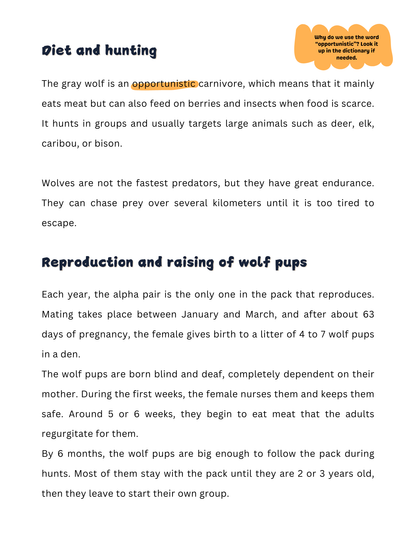 350+ Ready-to-Use Printables | Grades 3 to 6