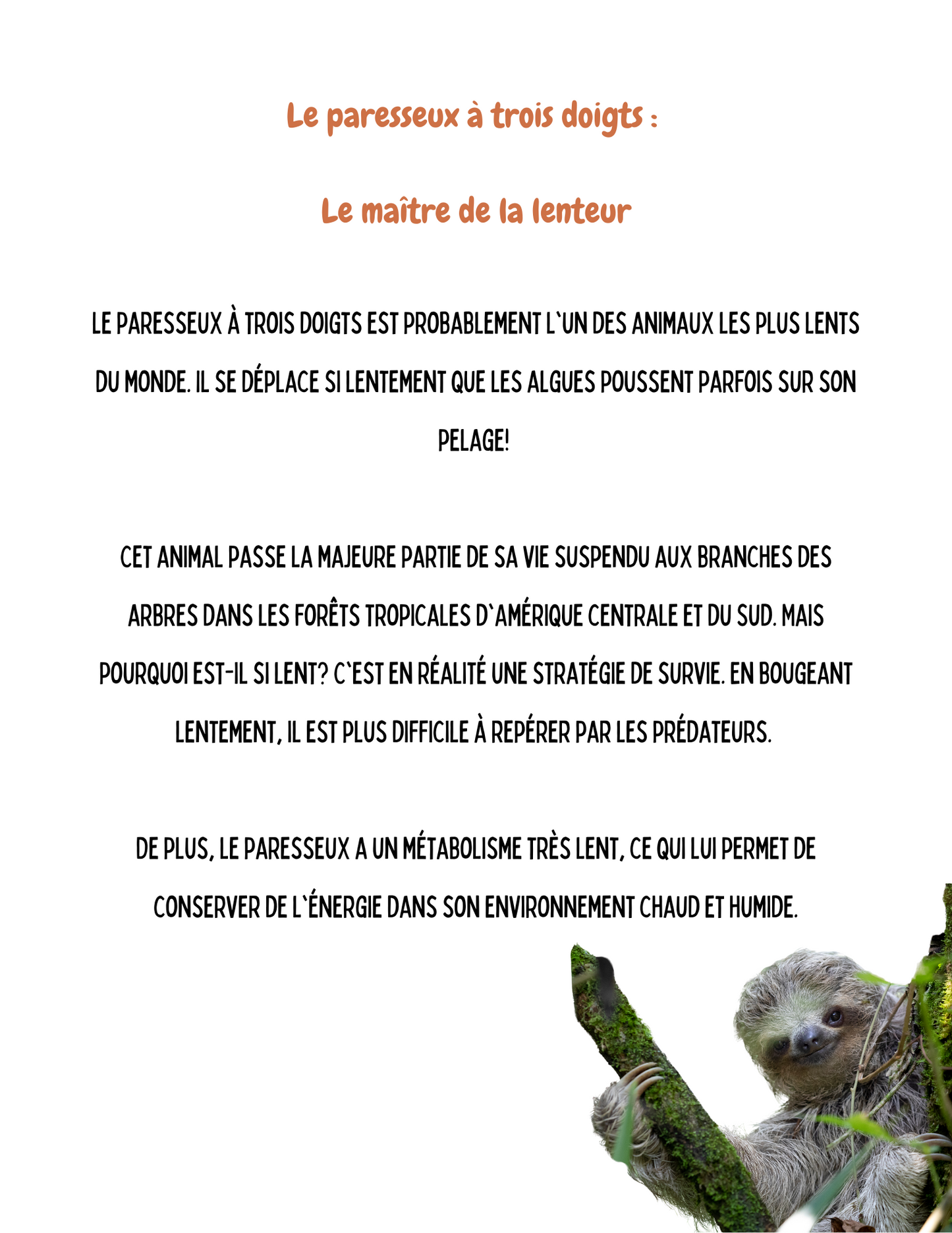 Toutes nos ressources à rabais | 560 pages