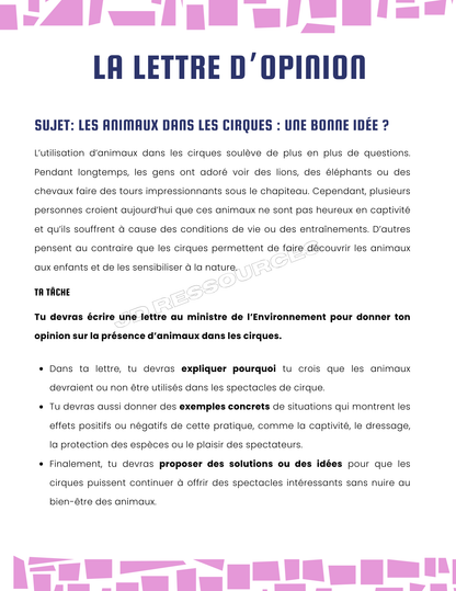 6e année | Simulation en lecture et en écriture | Pratique ministérielle