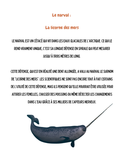 Toutes nos ressources à rabais | 560 pages
