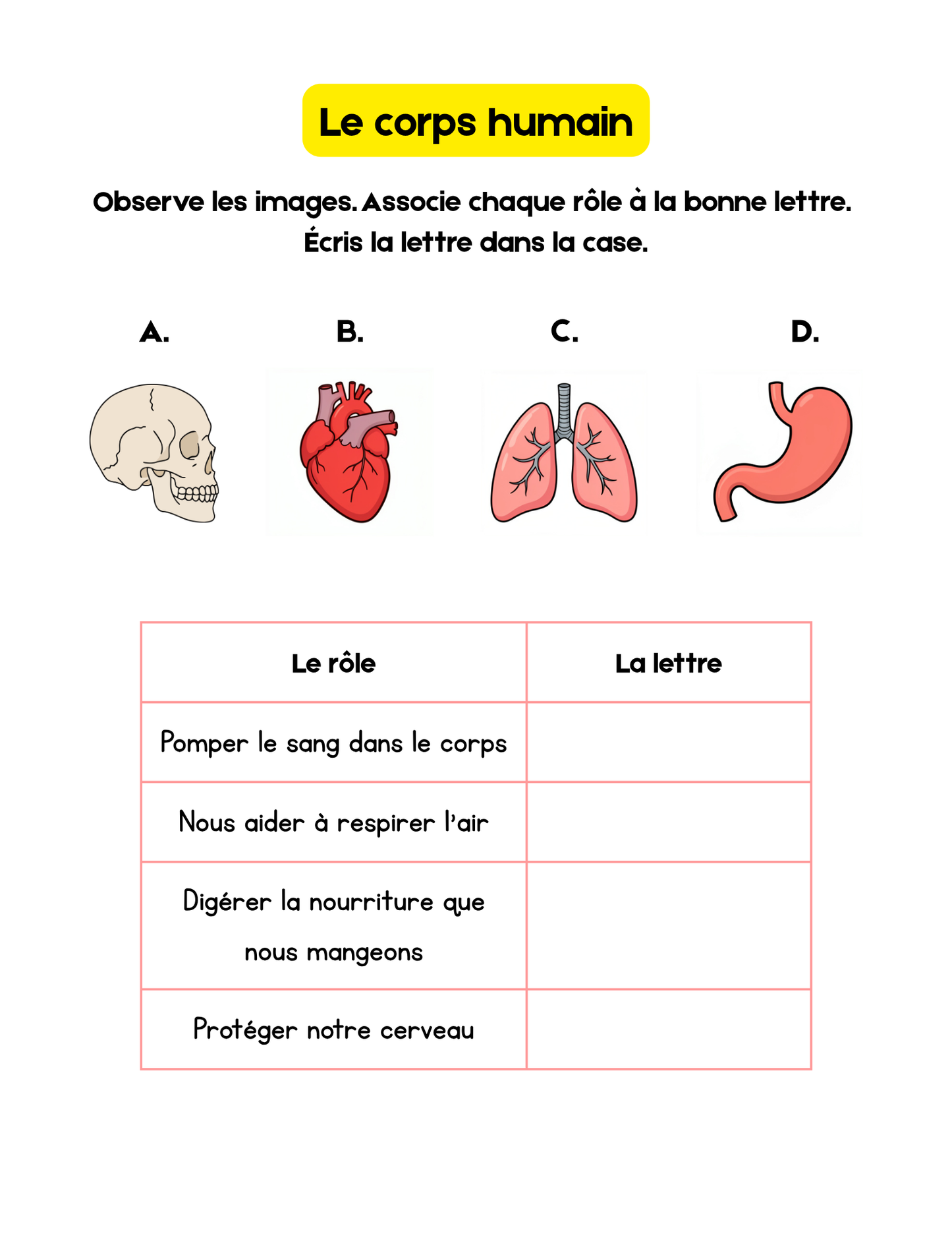 1er cycle- Sciences