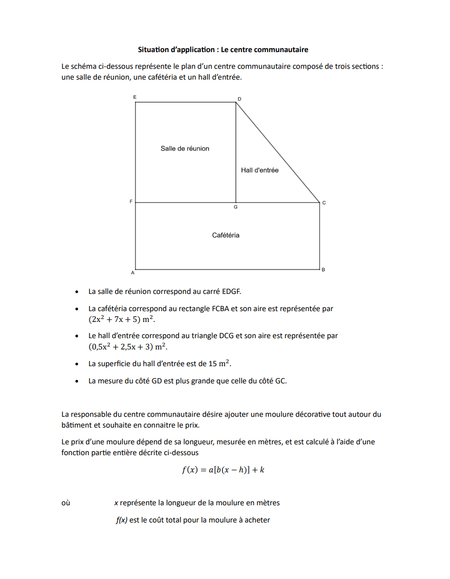Situation d'application (pratique ministérielle)- 4e secondaire SN