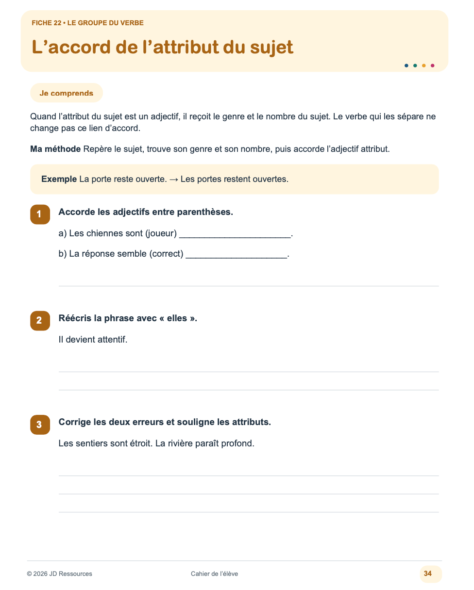 Évaluer les forces et difficultés en grammaire _ 3e cycle